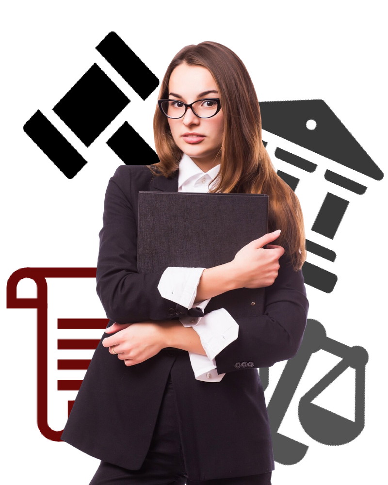 Profesional del derecho